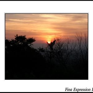 Meet your Posher, Edwin